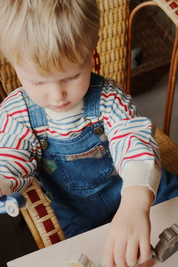 Magot Denim Dungarees Tiger