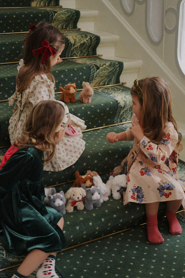 Baby Animals "Brown Rabbit"