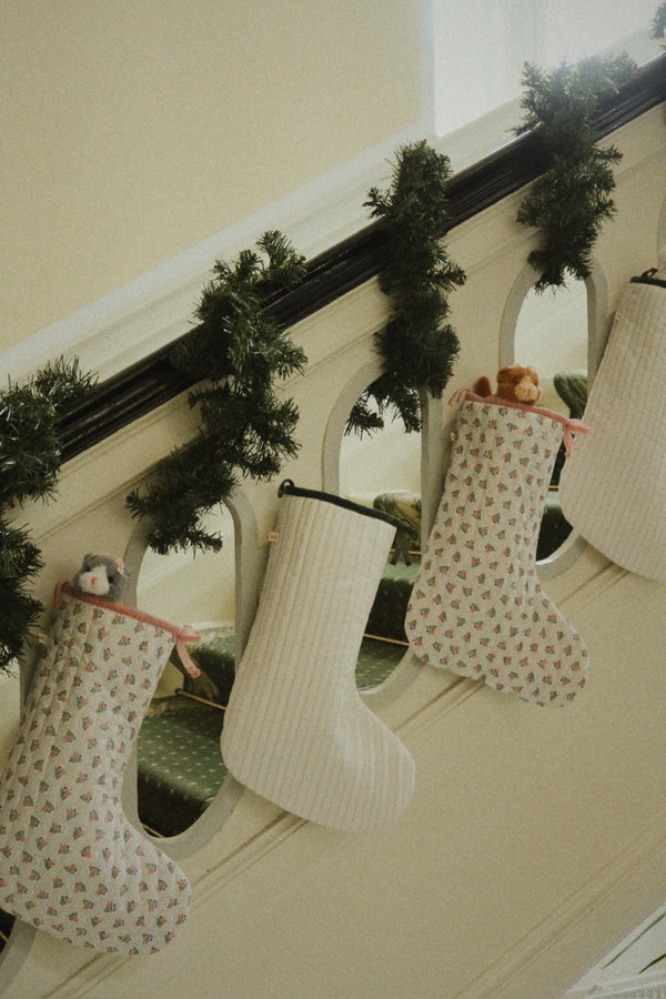 Baby Animals "Brown Cat"