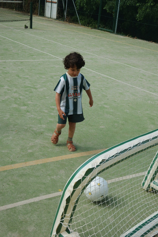 Inflatable Goal with Ball Green Stripe