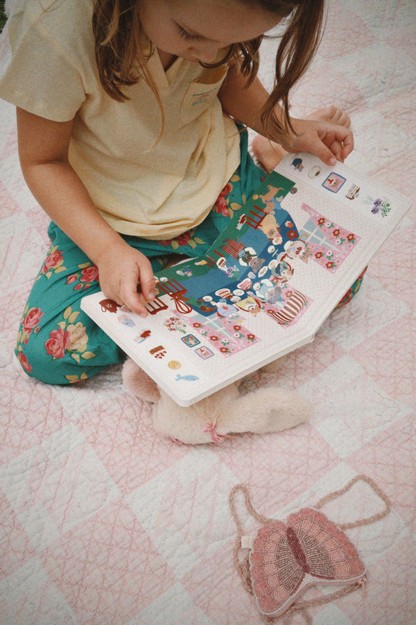 Look and Find Book Multi