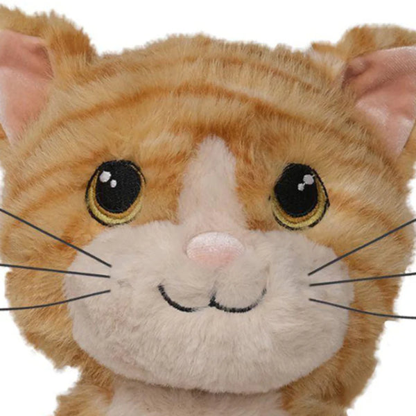 Dinkum Cat Binx Ginger