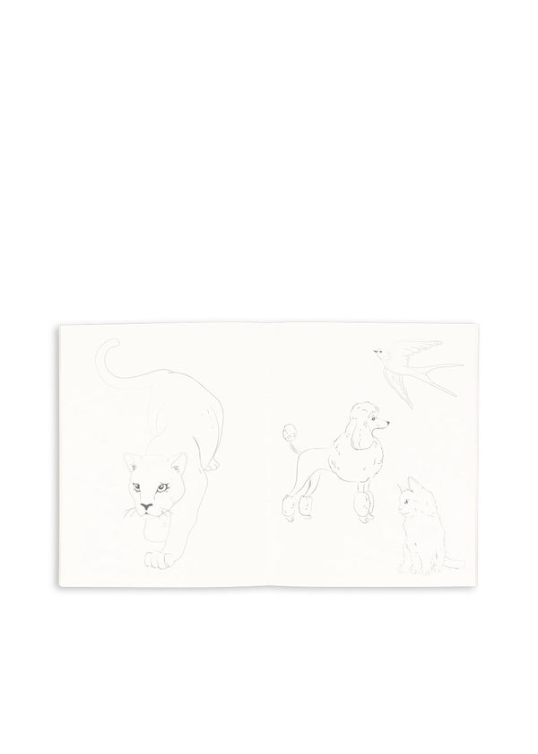 Coloring book with colored pencils Green Tea Check