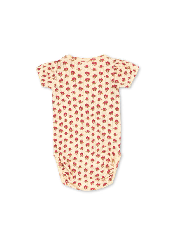 Minnie Body Rosie Sorbet