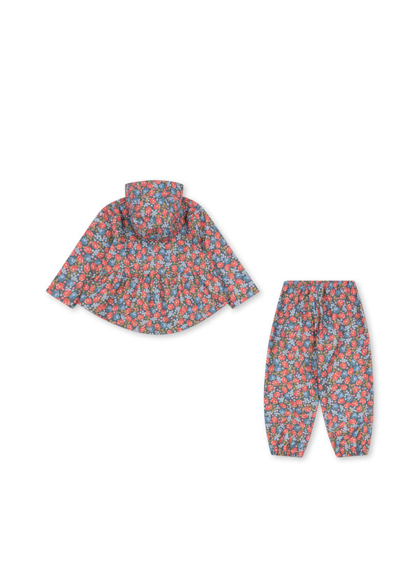 Fair rain set Violets are Blue