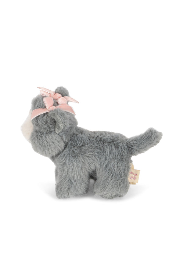 Baby Animals "Grey Cat"