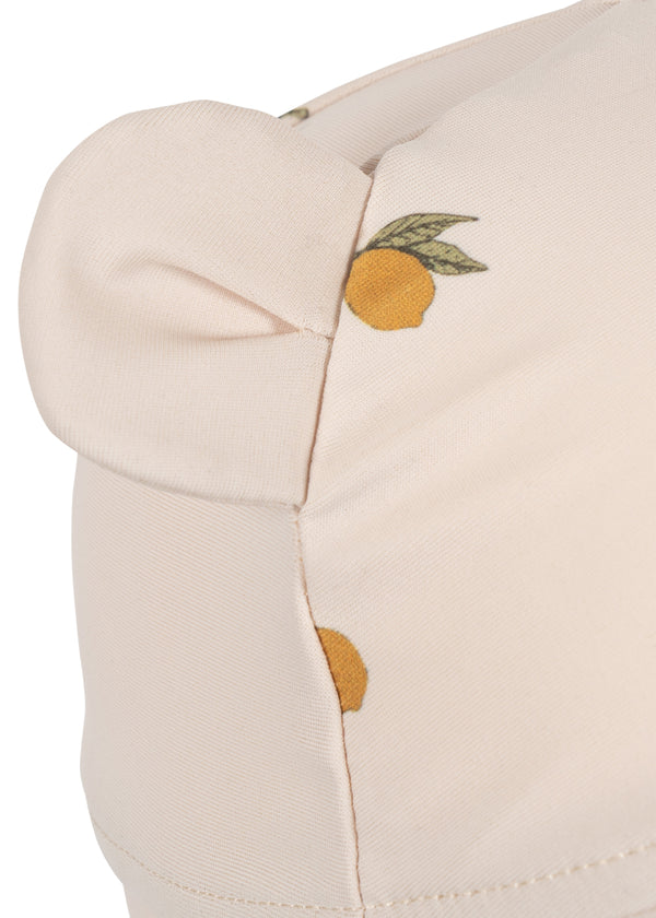 Aster Bear Coneflower Mon Grand Citron