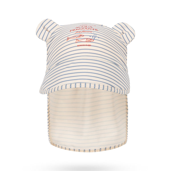 Aster Bear Coneflower Stripe Blue