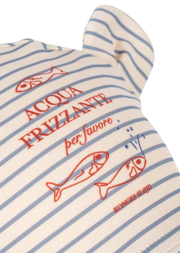 Aster Bear Coneflower Stripe Blue