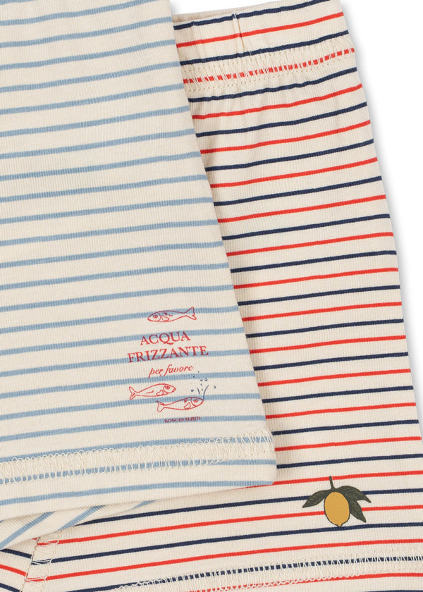 2-Pack Basic Boxer Shorts Stripe Bluie / Stripe Tricolore