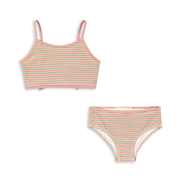 Bowwow Bikini Blush Stripe