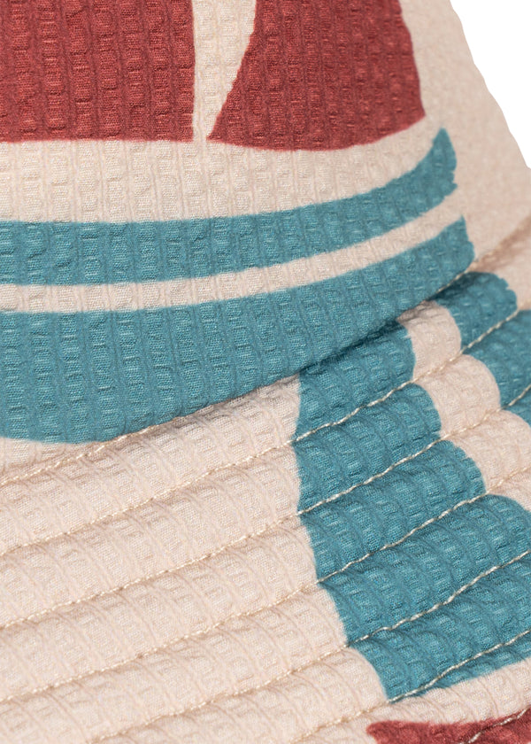 Seer Asnou Coneflower Ahoy