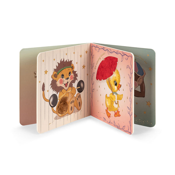 Touch and Feel Book Multi