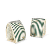 Swim Wings Basic Green Stripe