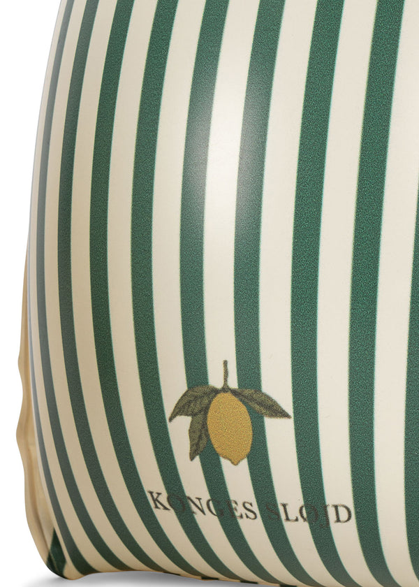 Swim Wings Basic Green Stripe