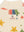 Teddy Jacket Half Zip Jody Rainbow Star