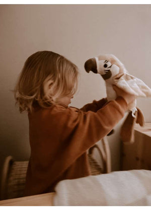 Pierre der sprechende Papagei in Kinderhänden
