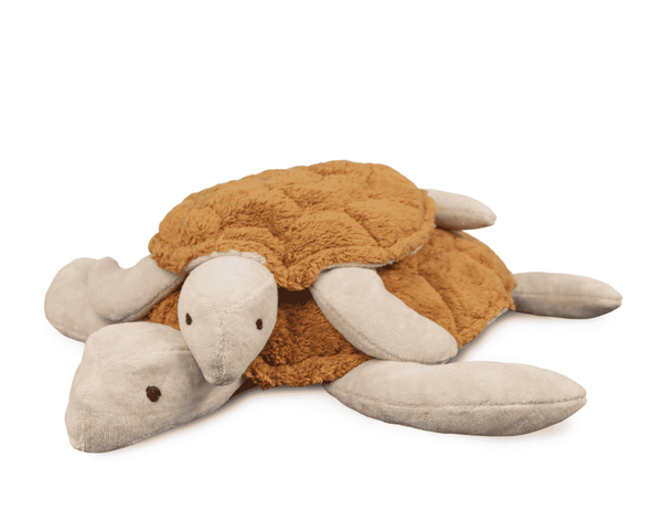 Kleine Rust-Schildkröte von Senger Naturwelt, 35 cm
