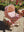 Minnie Doll's Pram Felice Rose