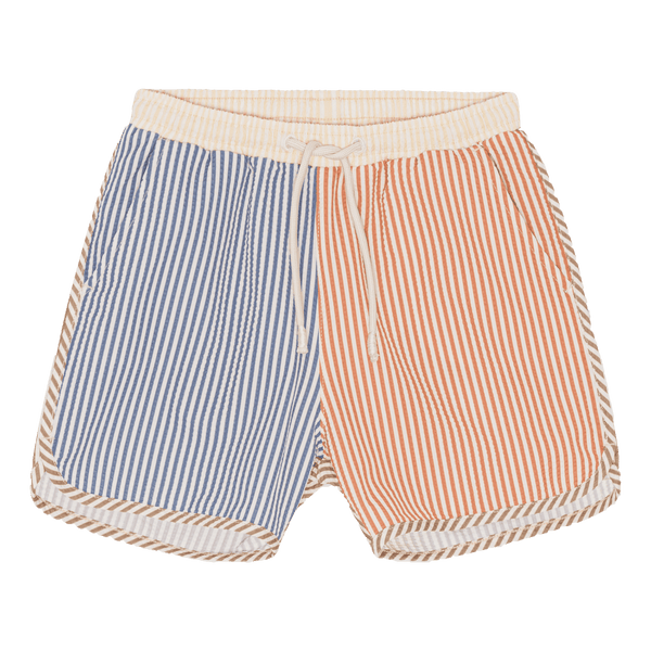 Asnou Swim Shorts Multi Stripe